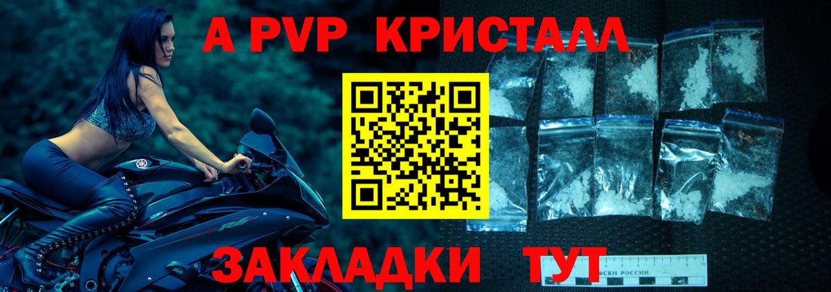 Альфа ПВП СК Новошахтинск