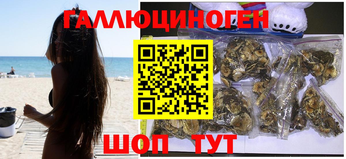 что такое наркотик  Псилоцибиновые грибы Psilocybine cubensis  Вход с VPN  Новошахтинск 